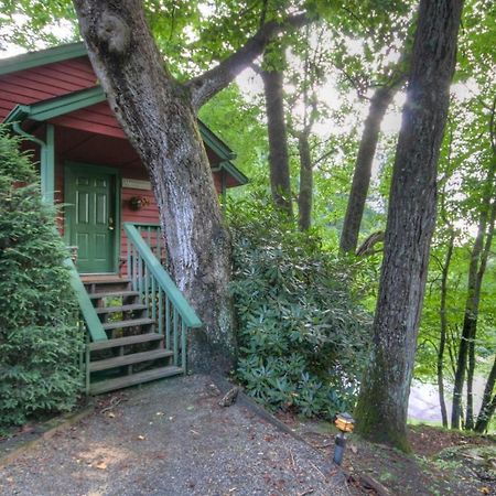 Algonquin Cottage Boone Dış mekan fotoğraf