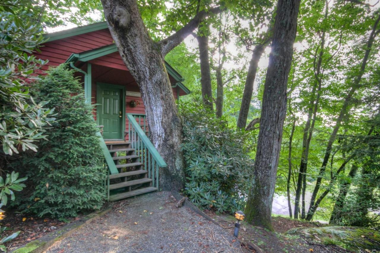 Algonquin Cottage Boone Dış mekan fotoğraf