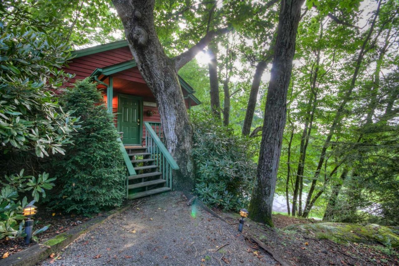 Algonquin Cottage Boone Dış mekan fotoğraf